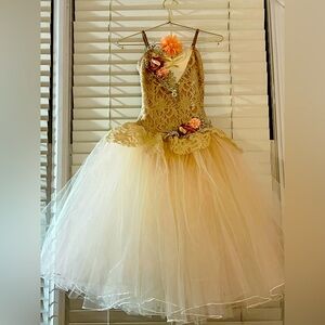 Long spring time looking costume Brand is Unkown. price is $80